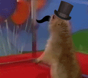1185271375631.gif