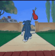 tom-and-jerry.gif