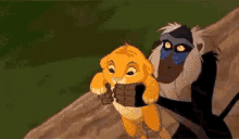lion-king-toss.gif