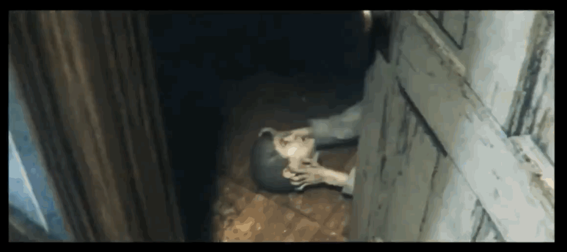 P.T._head.0.gif