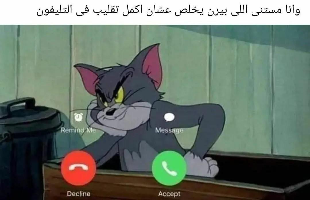 561154880.jpg