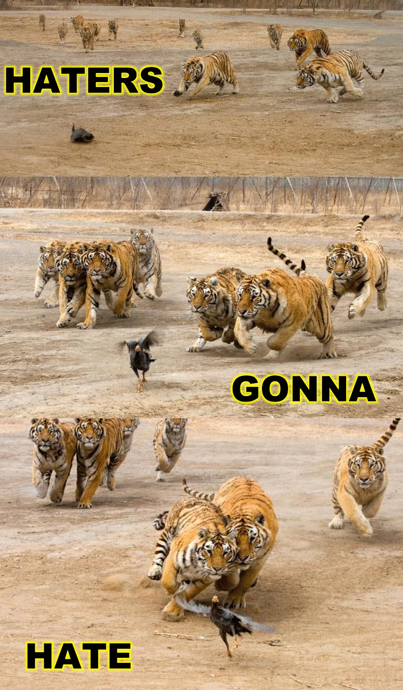 turkeylionshate.gif
