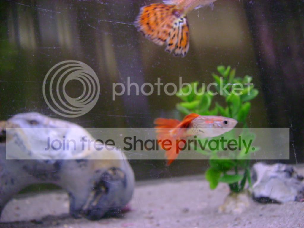 DSC01240.jpg