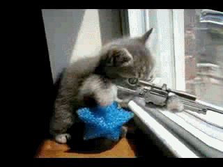 SNIPER.gif