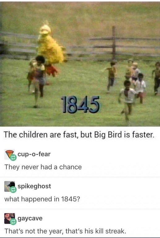 d5d.jpg