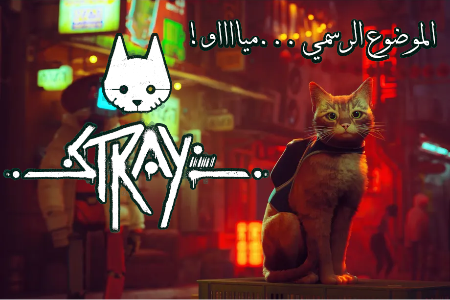 DT7HXTv.png