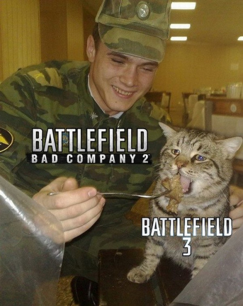 wStarVw.jpg