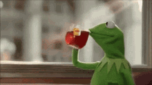 frog-kermit.gif