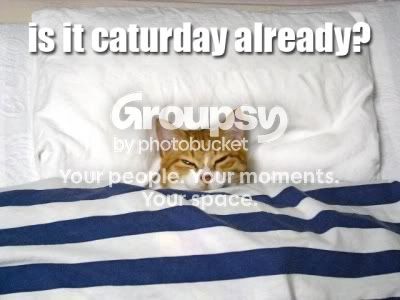 caturday.jpg
