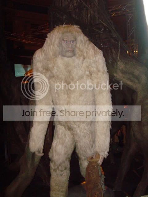 YETI1.jpg