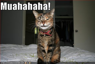 cat_evil_laugh.jpg