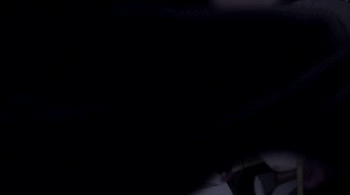 NYShBlx.gif
