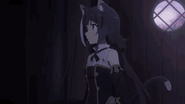 tenor.gif