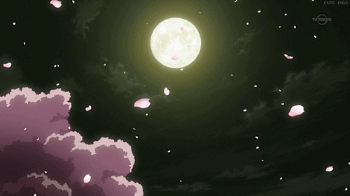 4871d13854ff8d3428b7b7e9c2ecc7ab.gif