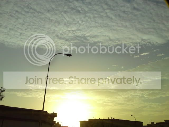 DSC00295.jpg