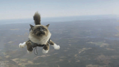 tumblr_od3c3bz9XL1tyncywo1_400.gif