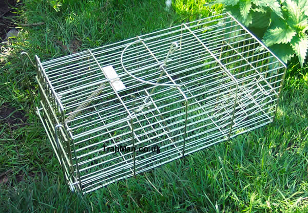 family-rat-trap.jpg