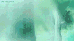 tumblr_ltwjakBfCx1r45yk7o1_250.gif