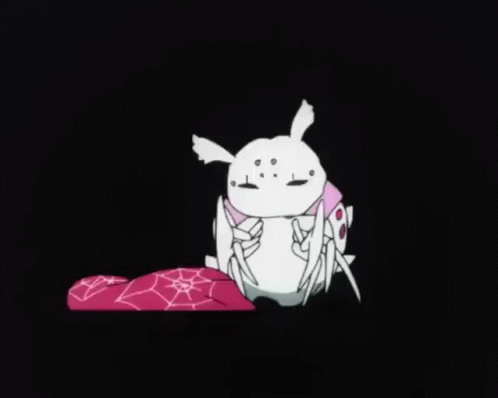 kumo-desu-ga-nani-ka-kumoko.gif