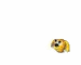 dog.gif