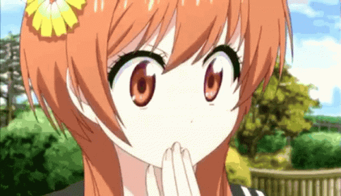 tenor.gif