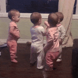 9be0005fa464a5c8d29a2dfa766d7bd3.gif