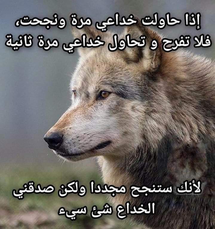 Grb6ifQWYAI6xZe.jpg