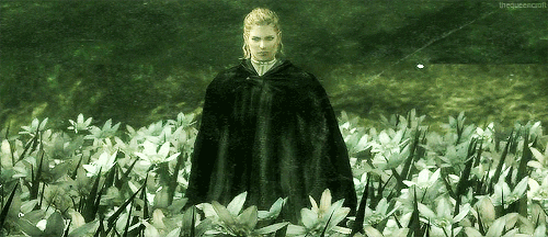 tumblr-mr4uy43-Q3n1sa4prjo1-500.gif
