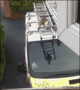 tumblr_m45tvanpUF1qdlh1io1_400.gif