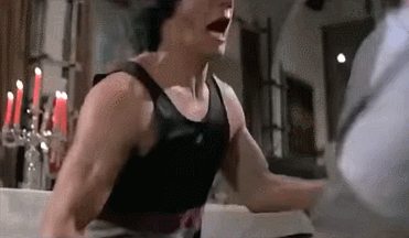 319vheC.gif