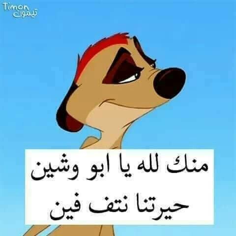 f32fdcd43d40e66df95c33b4f9da061a.jpg