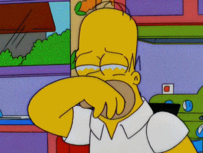 tumblr_mmwfpuCcjQ1rl2x16o1_400.gif