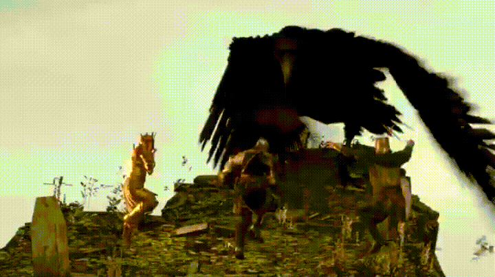 FIDUVYE.gif