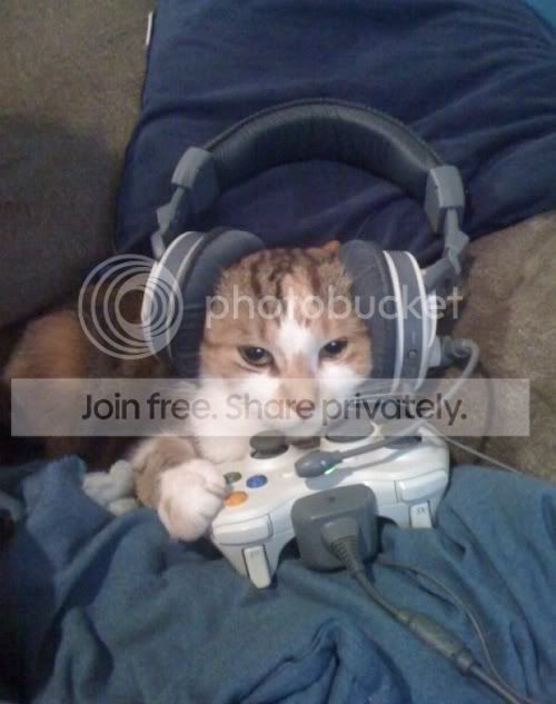 tumblr_m6rx8aNPar1qcvreoo1_500.jpg