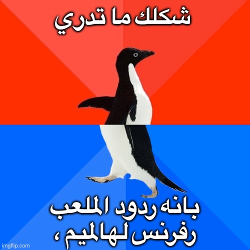 8gu7oe.jpg