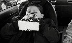 tumblr_m94a32Yi041r1fva4.gif