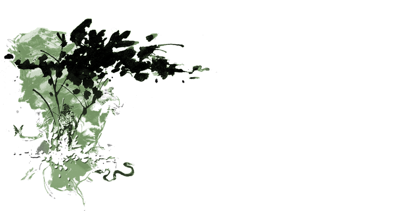 6uzNV.png