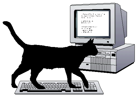 cat-on-keyboard-med-001.gif
