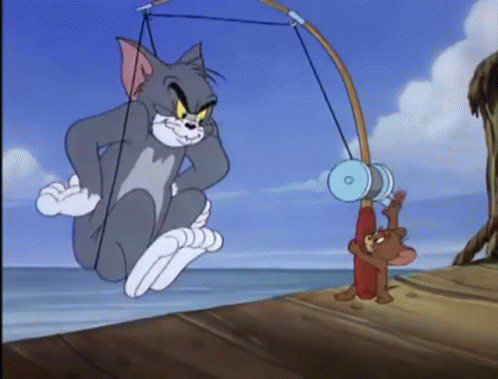 1ab654cc84719967e6fe796d668da4b5.gif