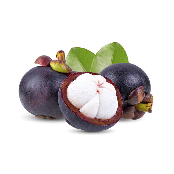 39671-0w600h600_Mangosteen.jpg