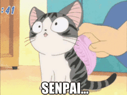 0a31d08fe93a530c1ed14e7defe81347.gif