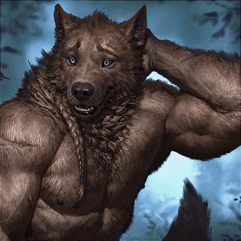 wolfkang-song-kang.png