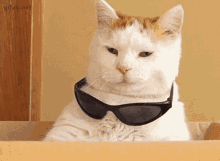 NPiiJ2U.gif
