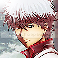 Gin-3.png