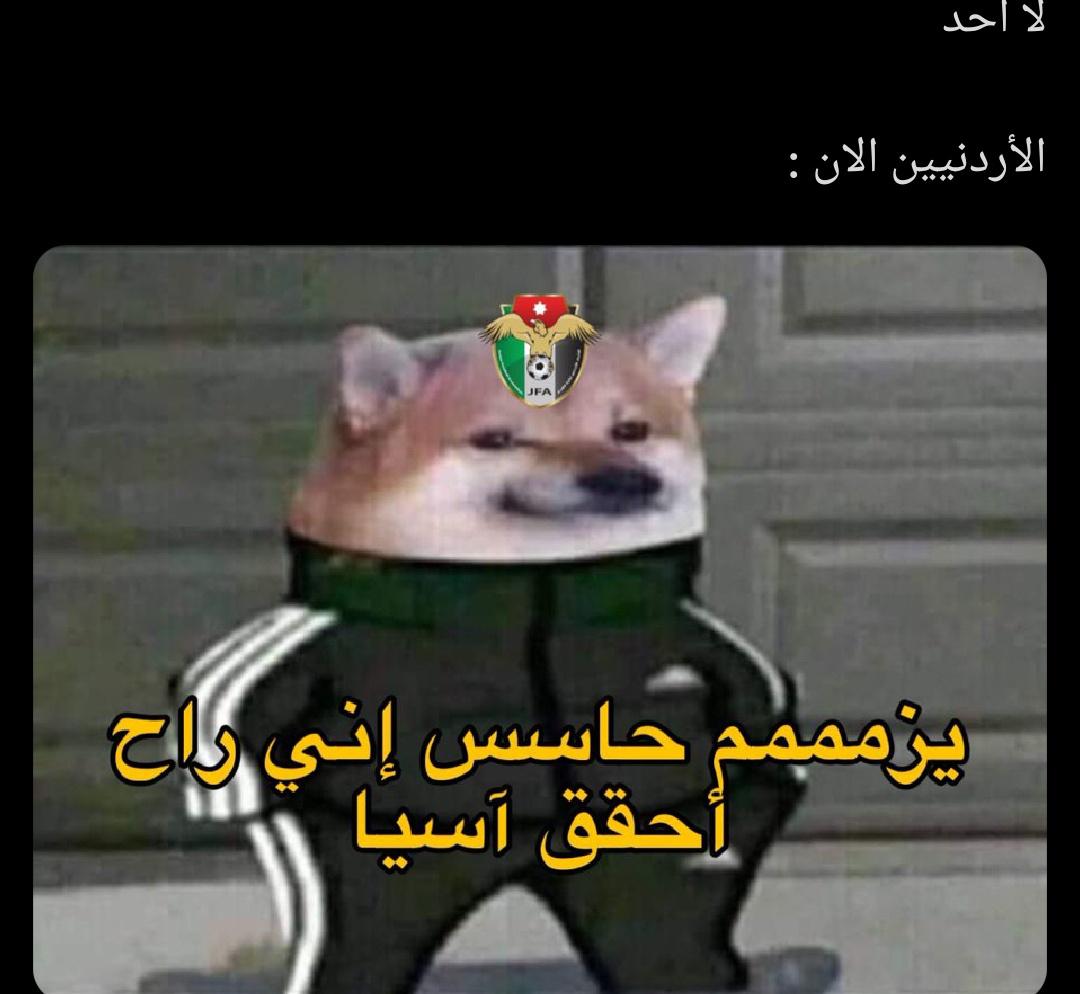 XMHlbz2.jpeg