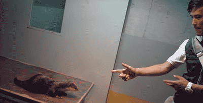 tumblr_mq8makdksg1qbyxr0o1_400.gif