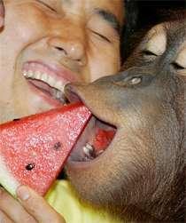 tumblr_lrwo65Ol2L1qlw1kio1_250.jpg