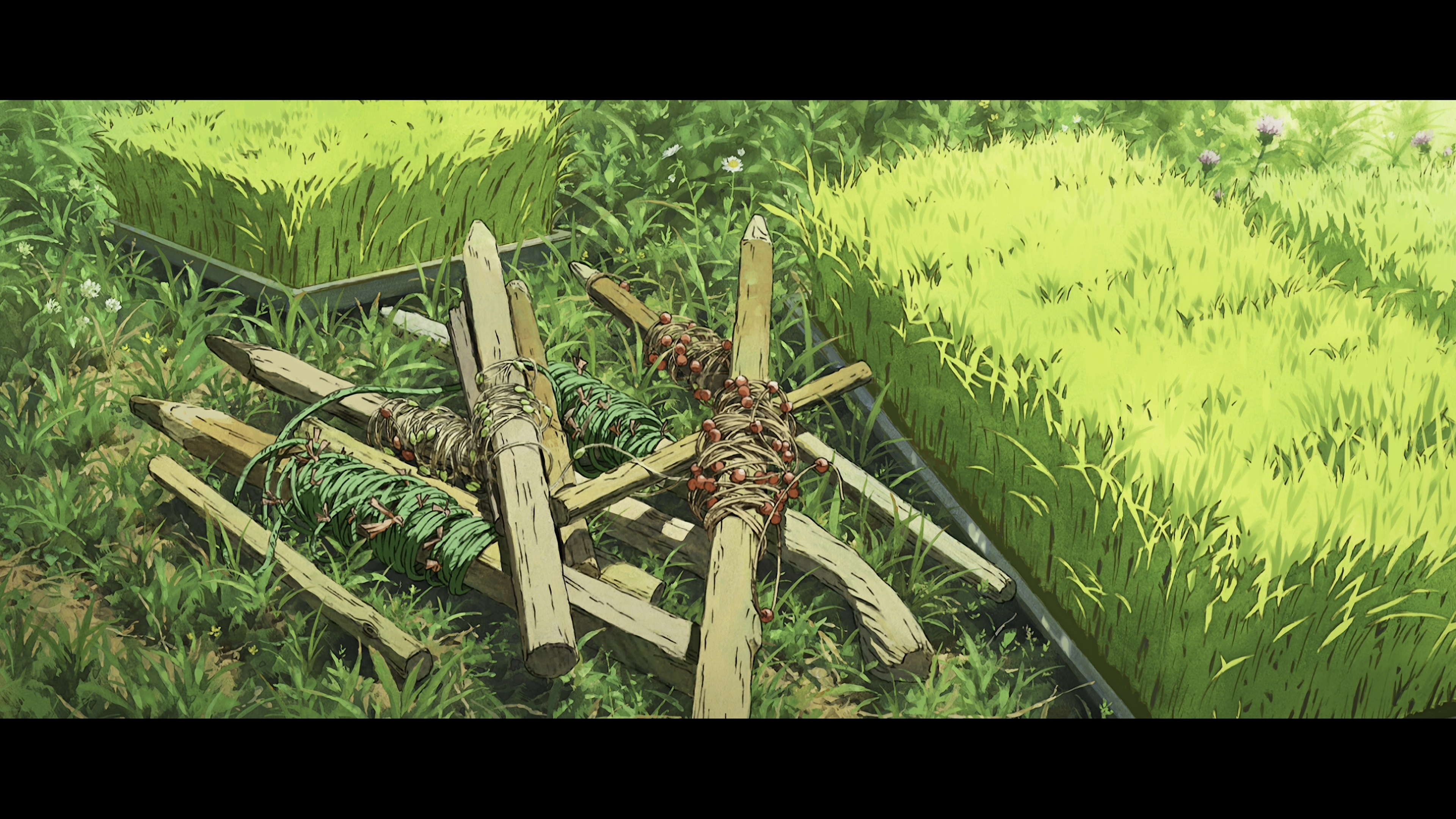 sXCy86d.jpeg