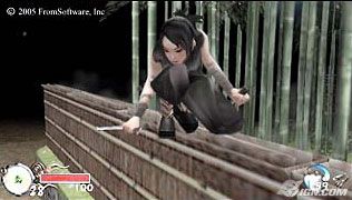 tenchu-shinobi-taizen-20050602083708464.jpg