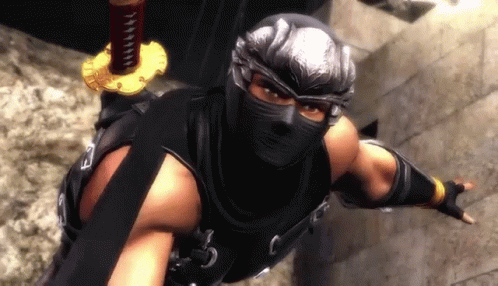 ninja-gaiden.gif